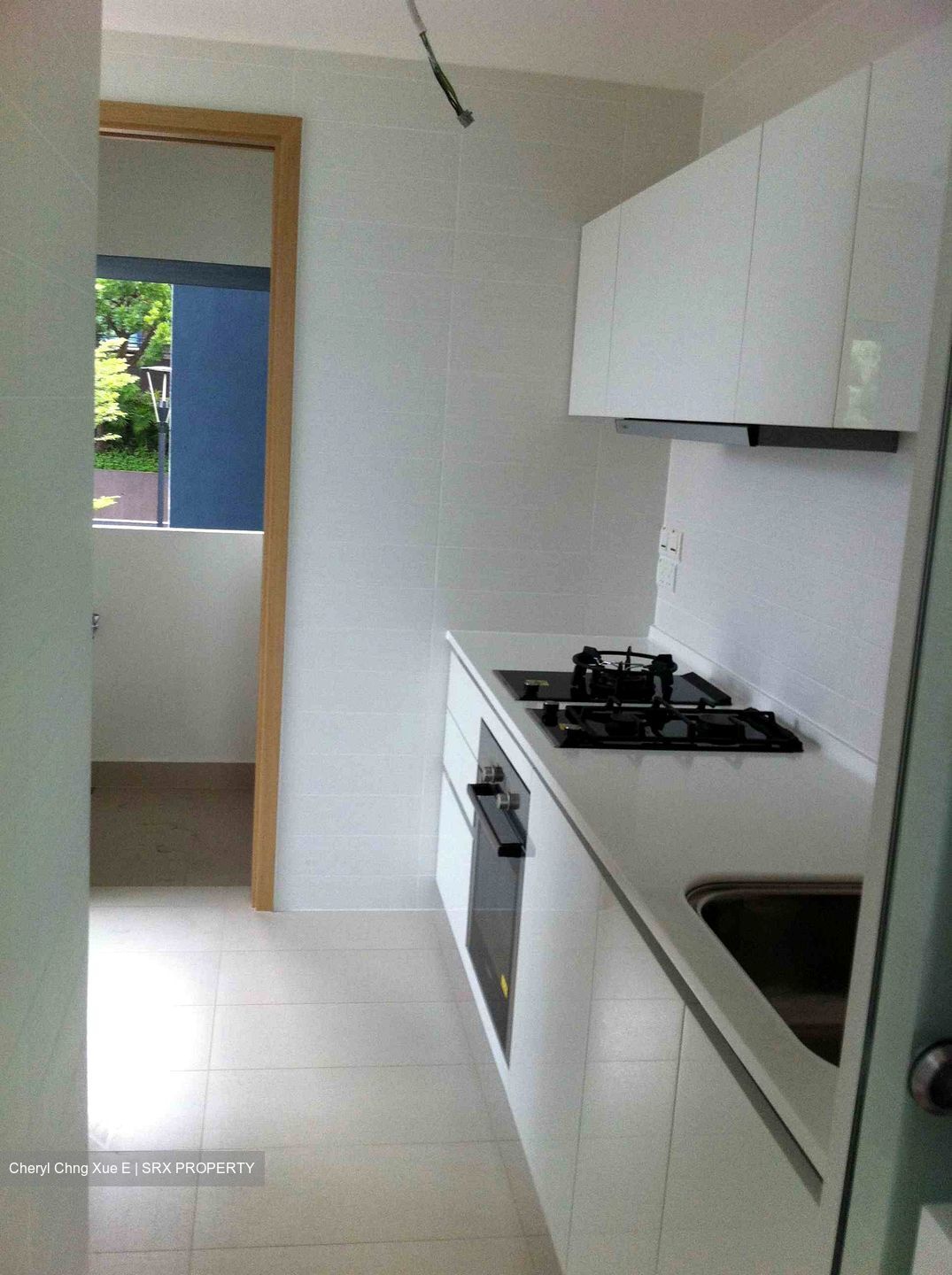Shelford Suites (D11), Condominium #370360081